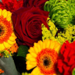 Gerbe à main colorée