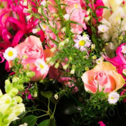 Raquette conique rose