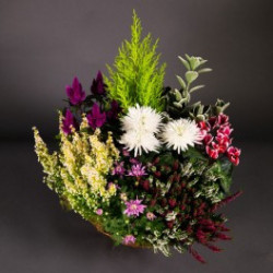 Coupe de plantes de saison II