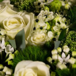 Cœur d’orchidées