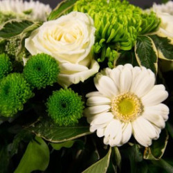 Couronne blanche et verte