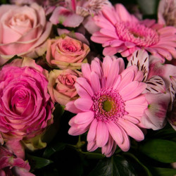 Coussin rond tons pastel