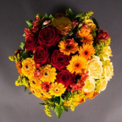 Coussin rond orangé