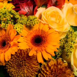 Coussin rond orangé