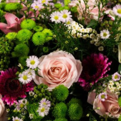 Dessus de cercueil pastel